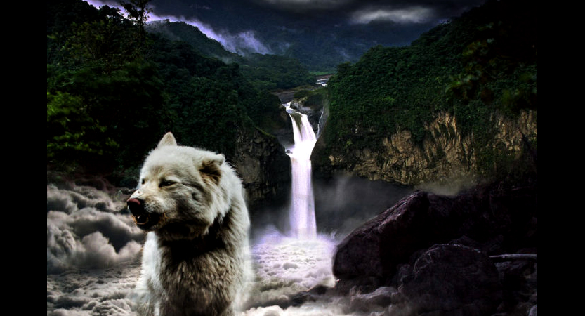 Game Design & Interactive Media